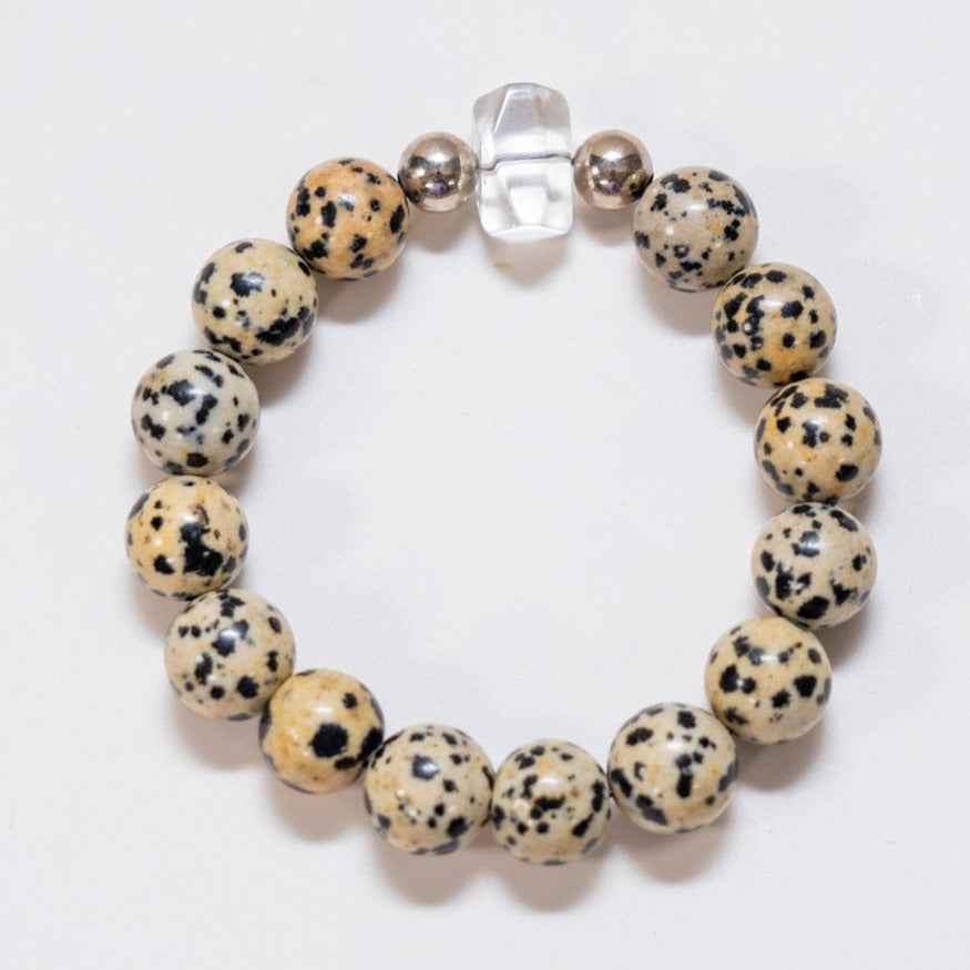 Go Set Go Dalmatian Jasper