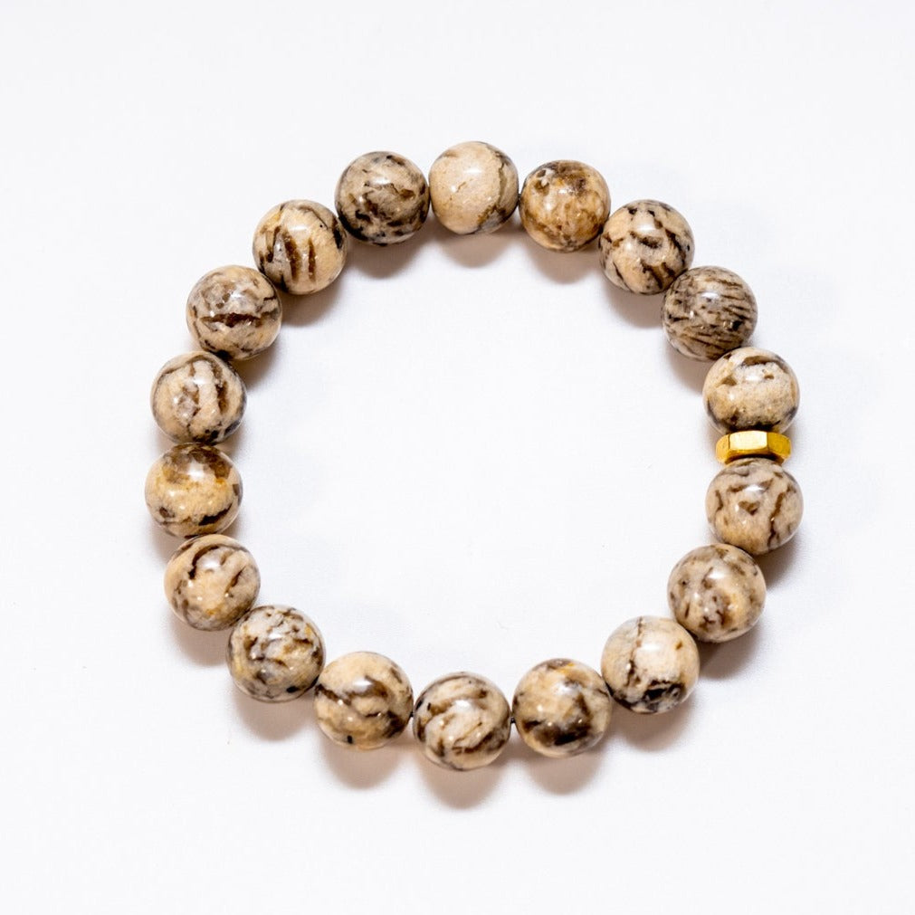 Bold Zebradorite Bracelet