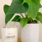 Peace Crystal Candle